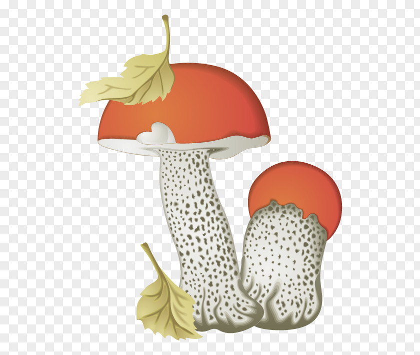 Mushroom Brown Cap Boletus Aspen Fungus Edible PNG