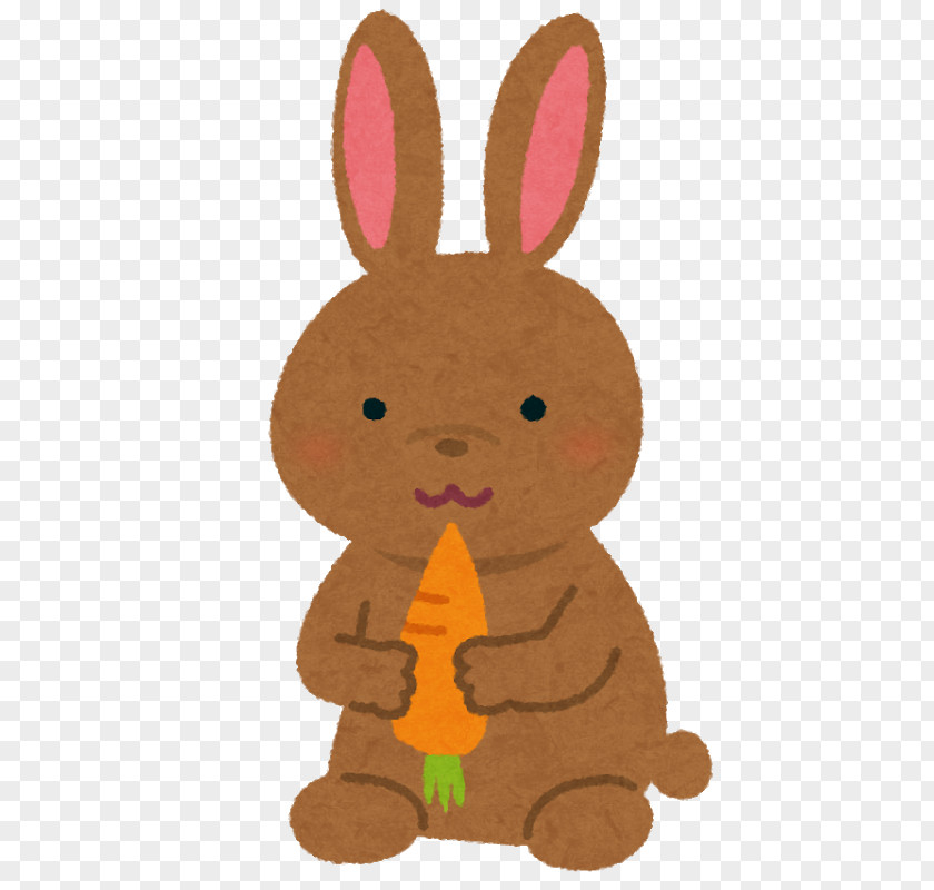 Rabbit Hare Constipation Easter Bunny Dietary Fiber PNG