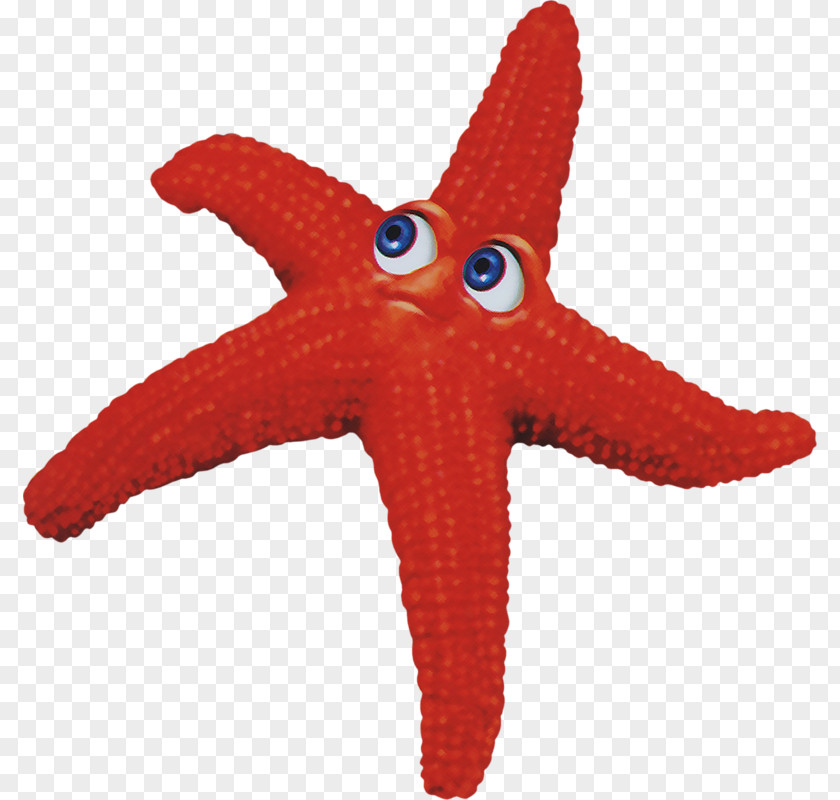 A Starfish Euclidean Vector PNG