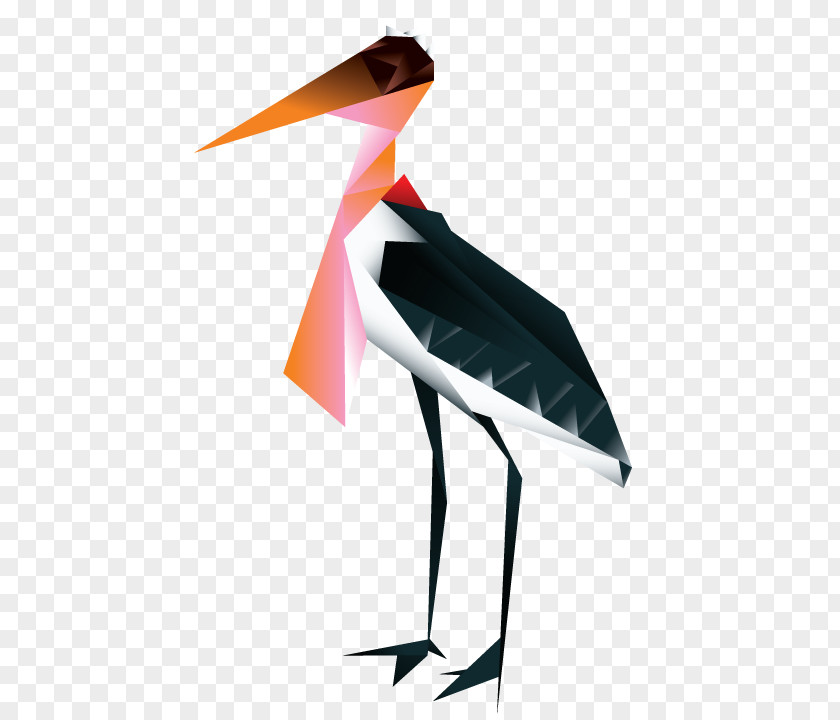 Bird Water Stork Crane Beak PNG