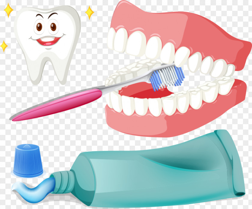 Brushing Teeth And Vector Tooth Toothbrush Illustration PNG