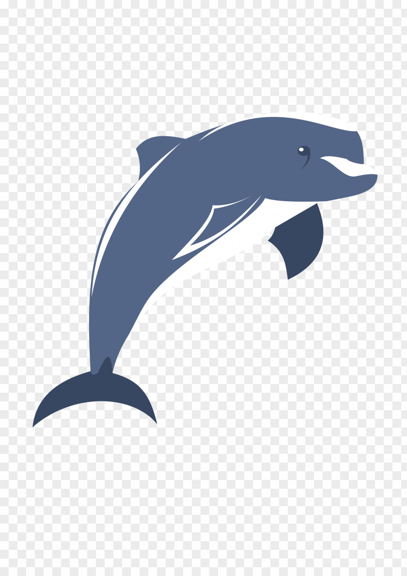 Cartoon Dolphin Common Bottlenose Tucuxi Wholphin Short-beaked Porpoise PNG