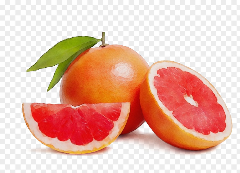 Citric Acid Plant Citrus Fruit Grapefruit Food Natural Foods PNG