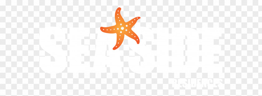 Starfish Echinoderm Font PNG