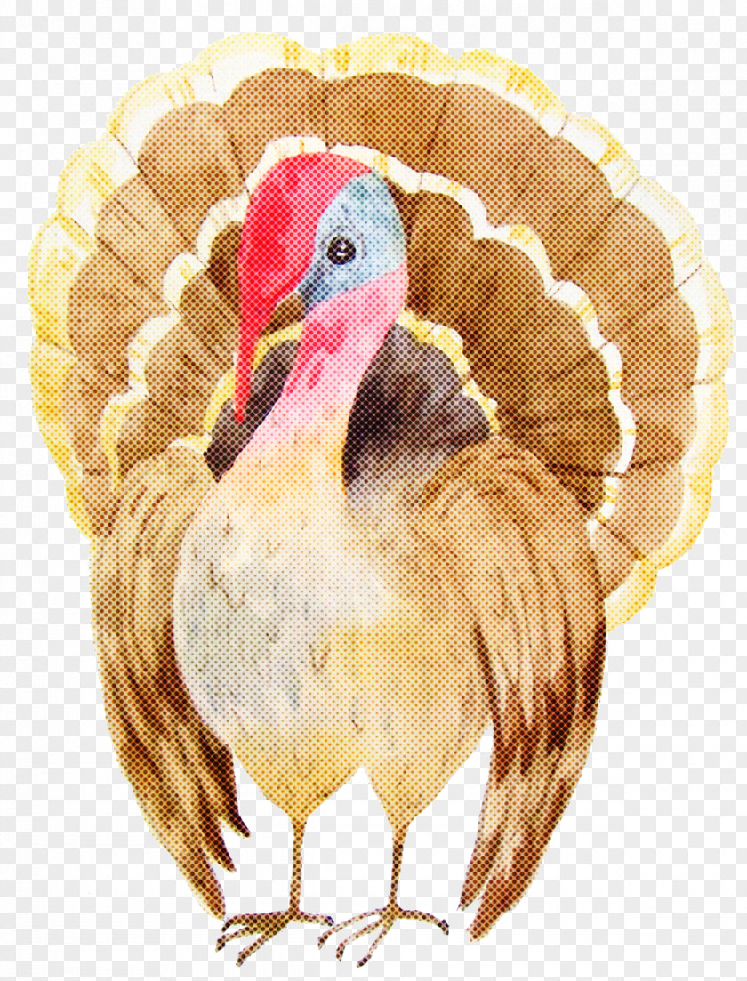 Thanksgiving PNG