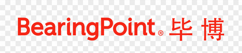 Usa Government Logo PRODICONSEIL Brand BearingPoint Paper PNG