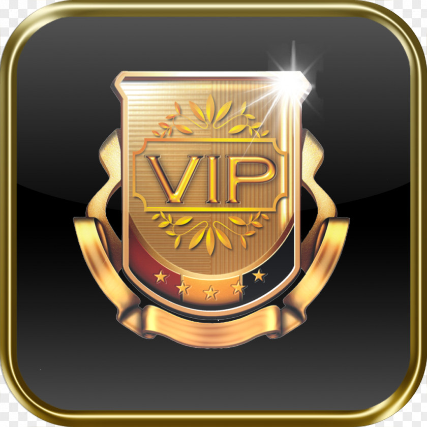 Vip Card VIP Connection Car LaGuardia Airport John F. Kennedy International Limousine PNG