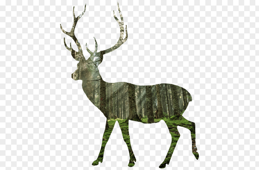 Animal Figure Horn Reindeer Cartoon PNG