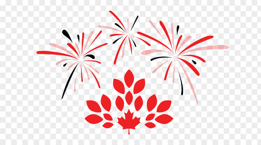 Canada Day Columbia International College Bronte St. Andrew's College, Aurora Fleming Colleges And Institutes PNG