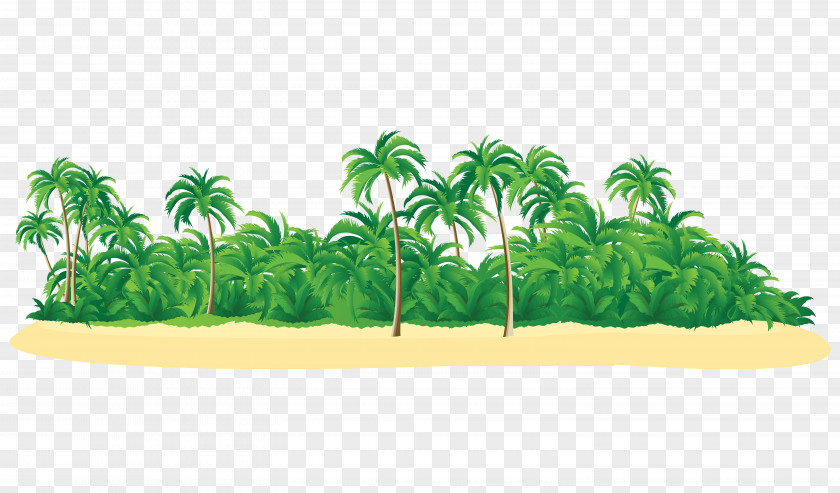Green Beaches Palm Islands Tropical Resort Hawaii Clip Art PNG