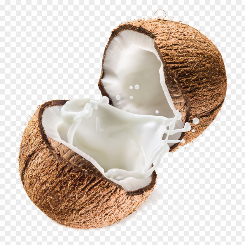 Milky White Coconut Juice Milk Powder Water PNG