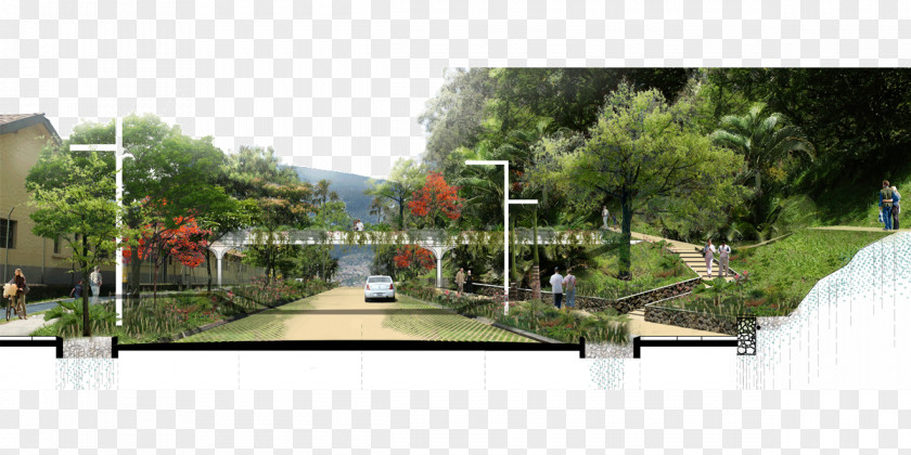 Design Pisci La Asomadera Landscape Architecture Architectural Engineering PNG