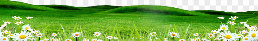 Free Buckle Creative Green Grass Download Clip Art PNG