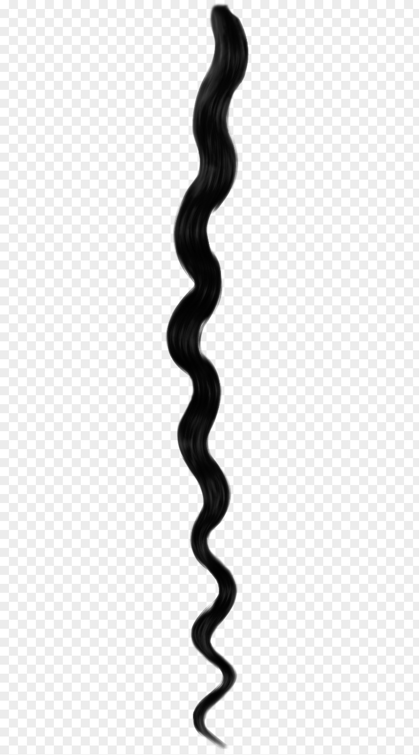 Hair Hairstyle Long NaturallyCurly.com PNG