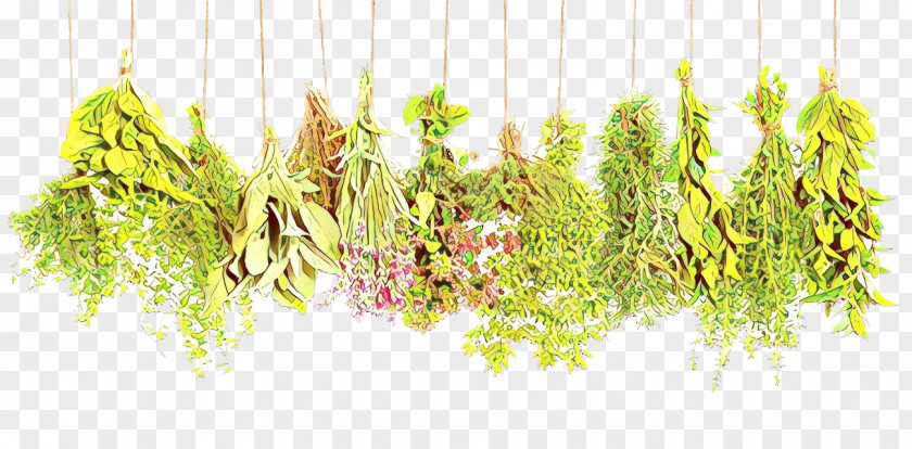 Medicine Alternative Health Services Herbalism PNG