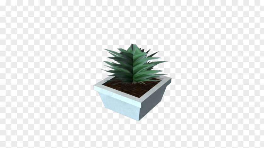 Potted Plant Flowerpot Houseplant Agave Aloe Vera PNG