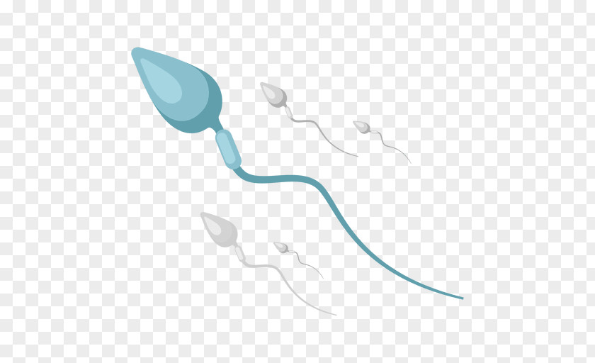 Spermatozoon Female Reproductive System Reproduction PNG reproductive system , sperm clipart PNG