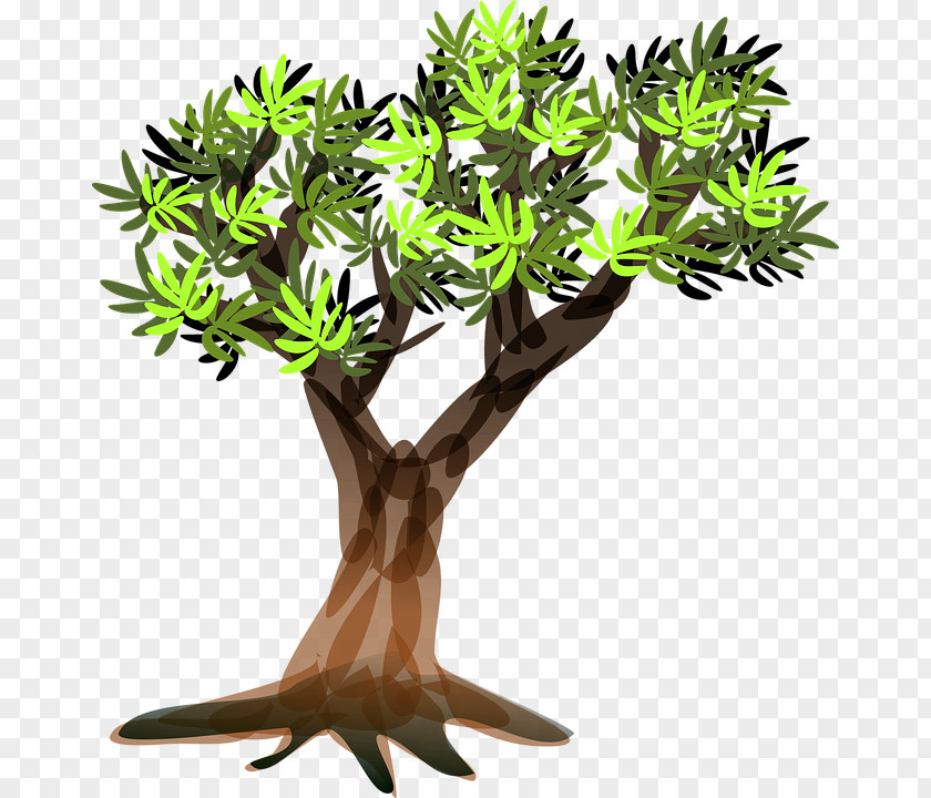 Vector Background Clip Art Graphics Tree Branch PNG