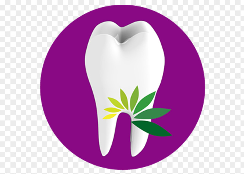 Dental Insurance Smile Al Reem Center Halarewards.Com Drive Hilali Clinic PNG