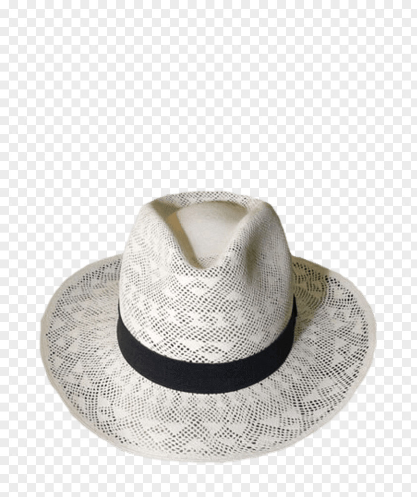 Design Fedora PNG