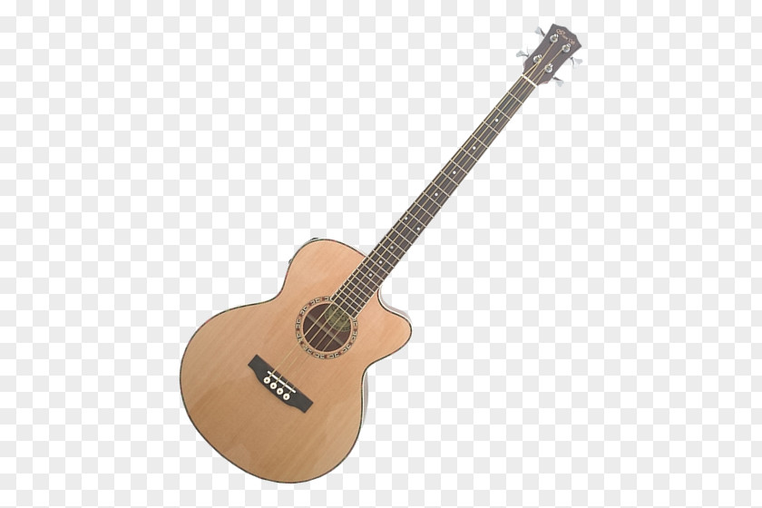 Fiesta Grocery Store Steel-string Acoustic Guitar Acoustic-electric Twelve-string PNG