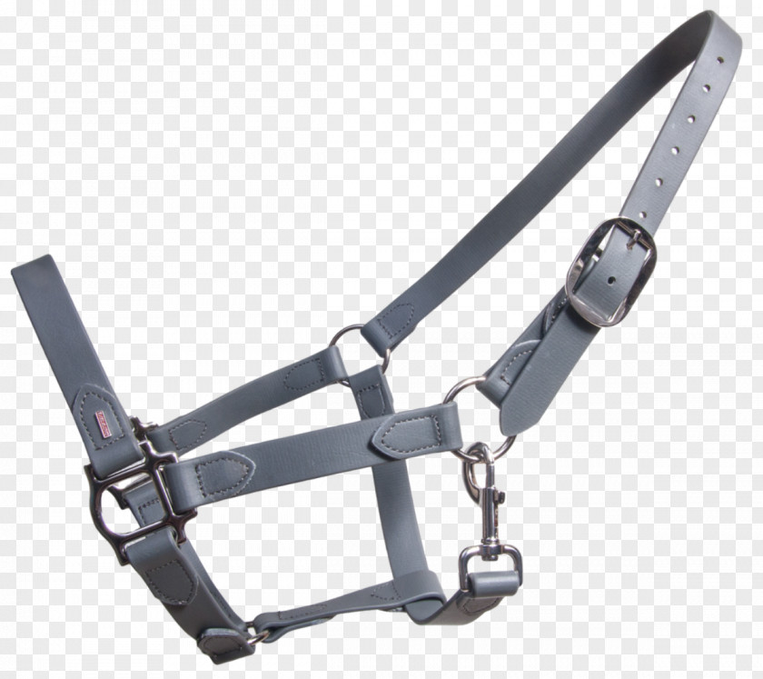 Horse-Riding Halter Lead Saddle Rein Horse Tack PNG