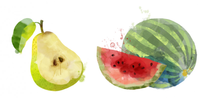 Passionfruit Watercolor Painting Fruit PNG