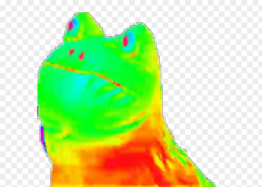 Frog Amphibians YouTube PNG