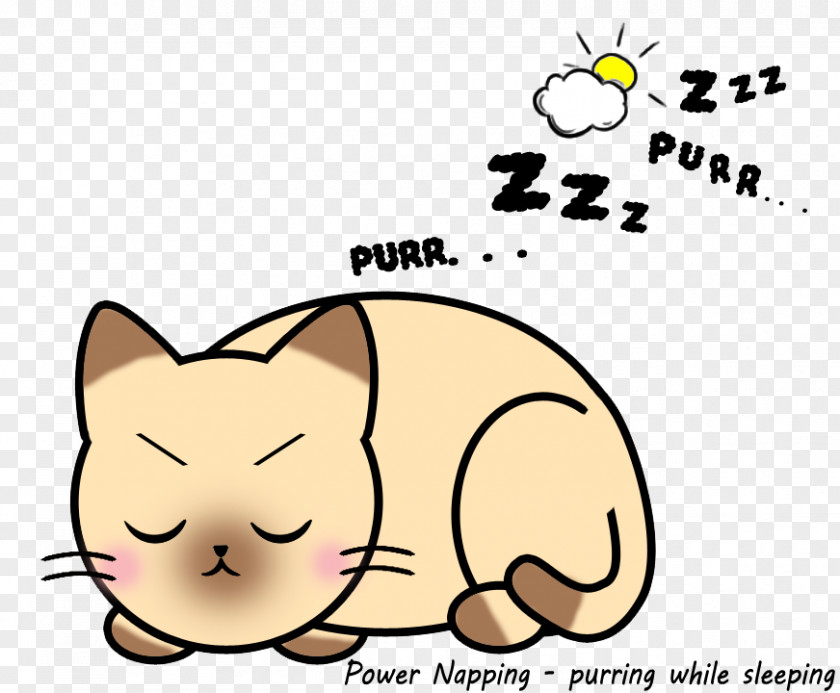 Kitten Whiskers Cartoon Power Nap PNG