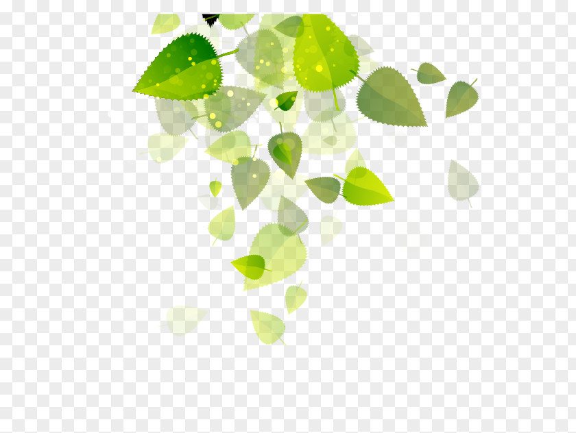 Leaves Background Ecosystem Services Methodology Biodiversity Ecology PNG
