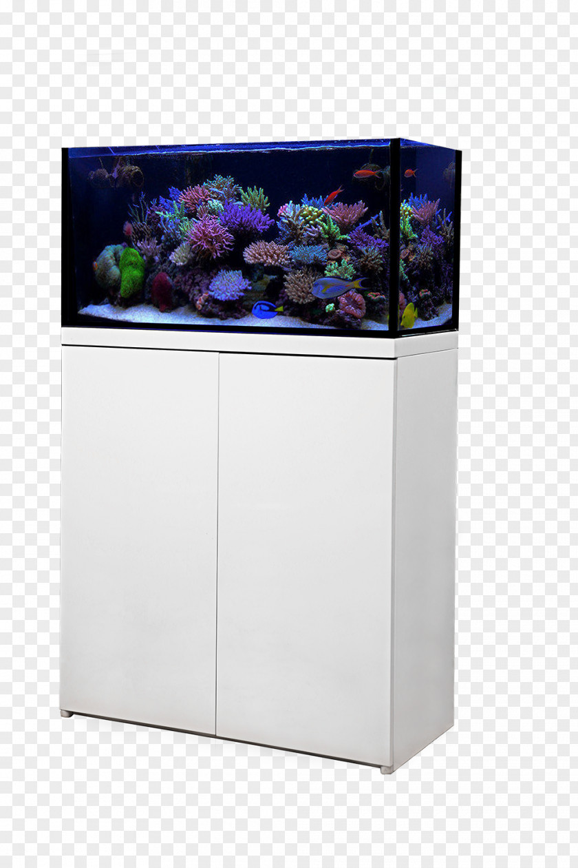 Octopus Protein Skimmer Aquarium Filters Reef PNG