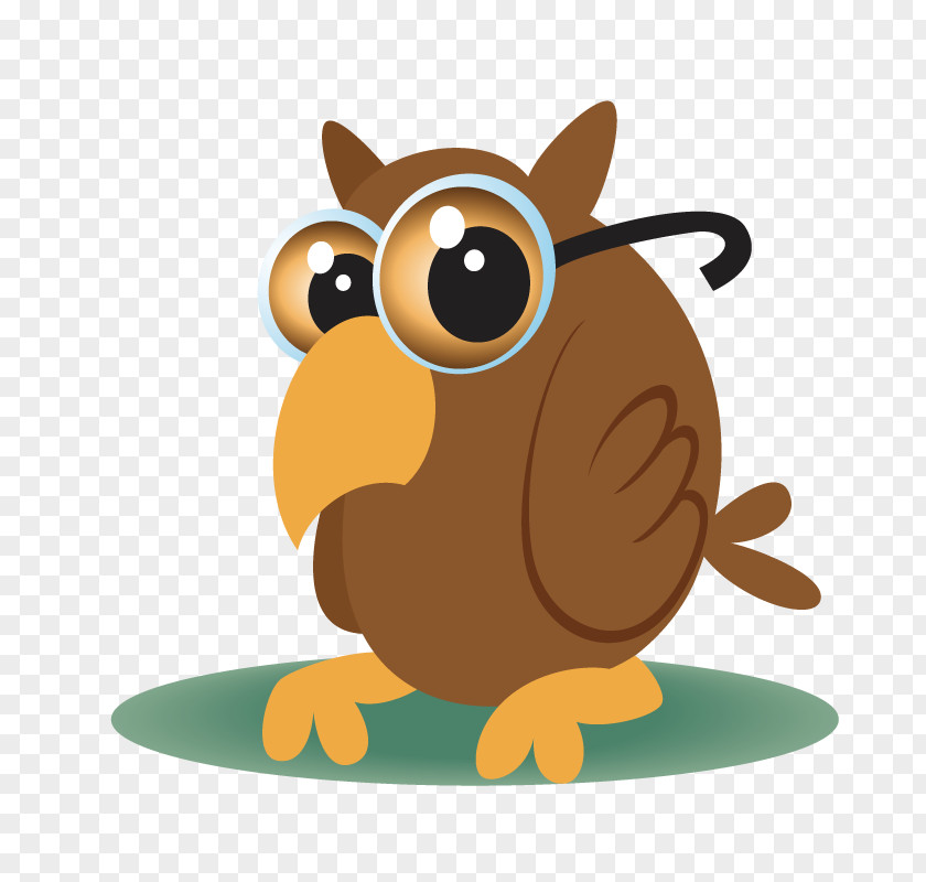 Cartoon Owl Bird PNG
