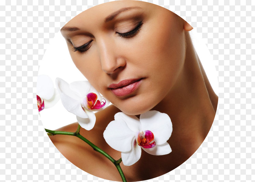 Mani Aesthetics Beauty Parlour Cosmetics Plastic Surgery PNG