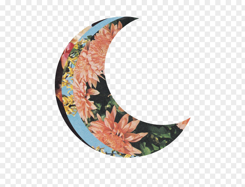 Moon New Lunar Phase Flower Image PNG