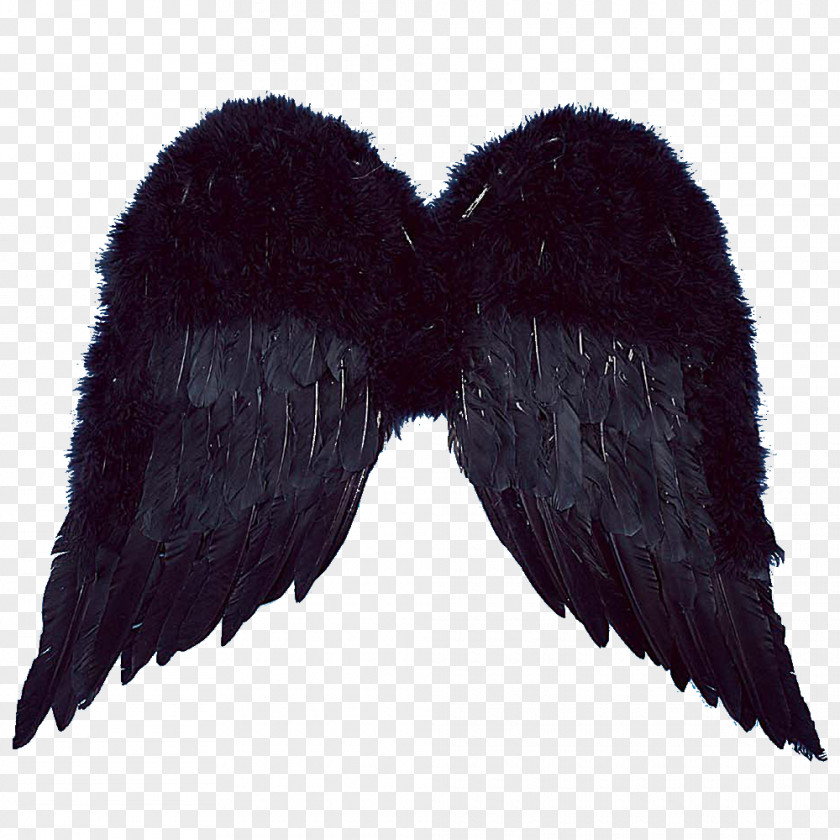 Angel Wings Wing Standard Test Image Raster Graphics Editor PNG