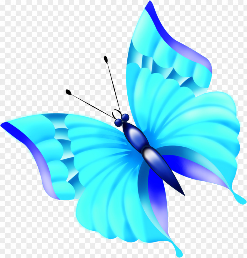 Butterfly Paper Insect Clip Art PNG