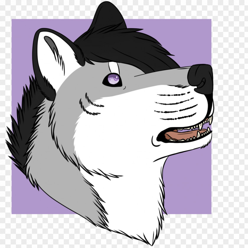 Cat Whiskers Horse Dog PNG