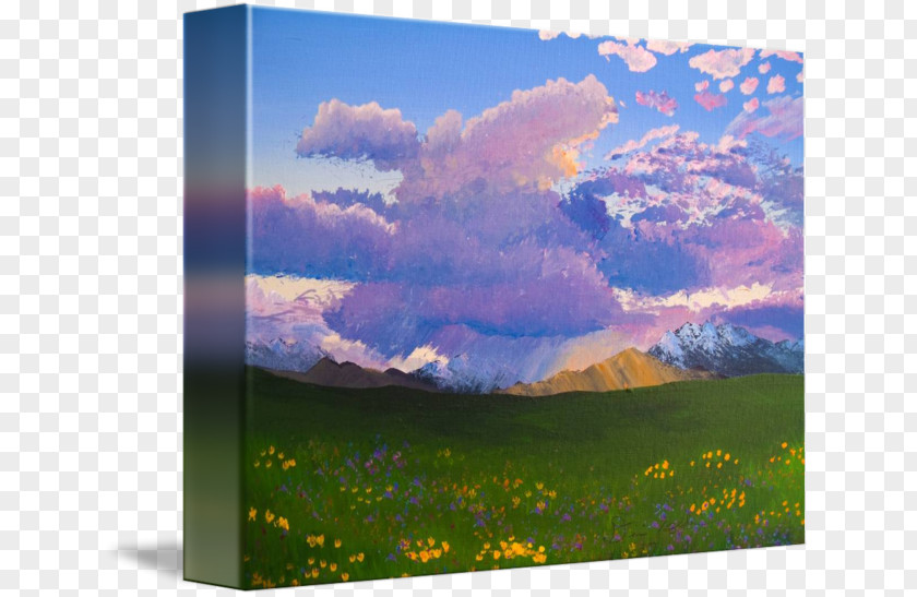 Desert Sunset Painting Ecoregion Energy Picture Frames Wildflower PNG