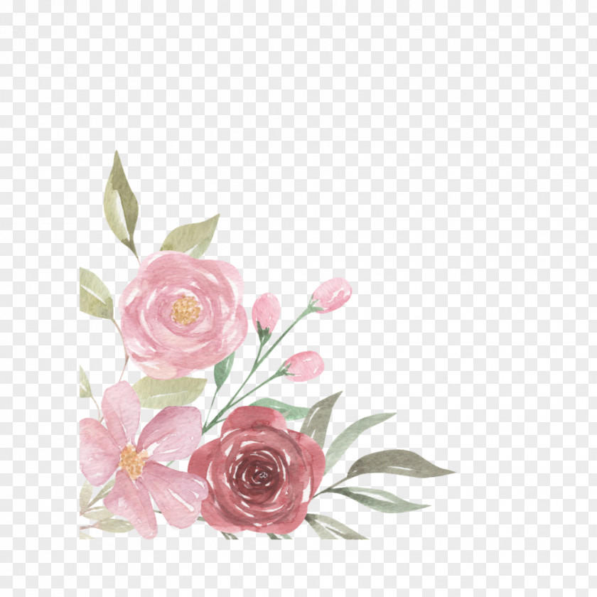 Fair Background Border Watercolor Garden Roses Floral Design Cabbage Rose Painting Cut Flowers PNG