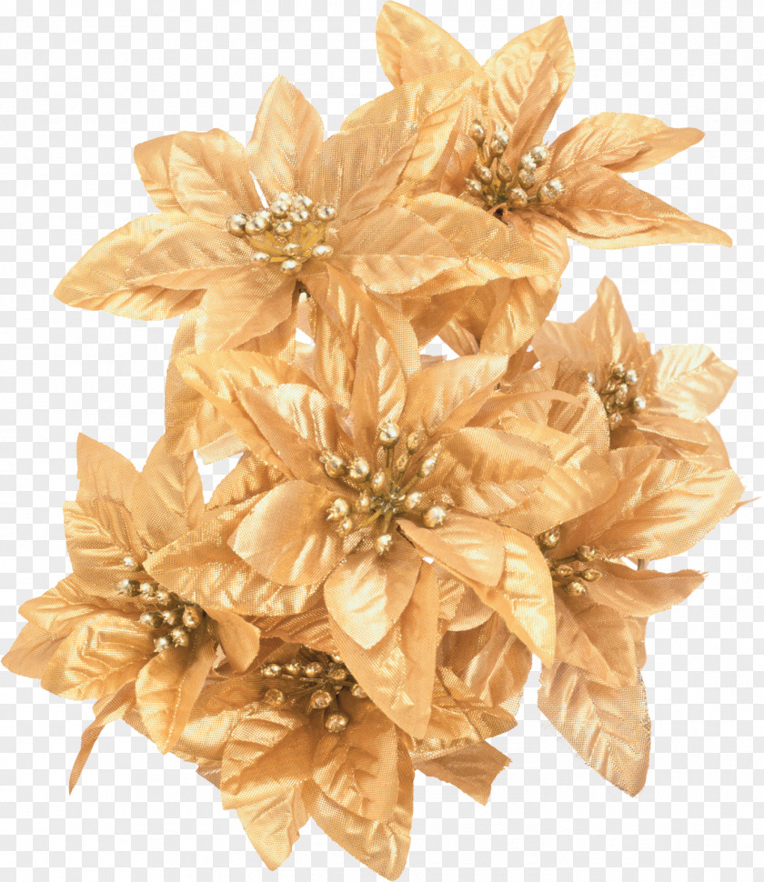Gold Flower Christmas Clip Art PNG
