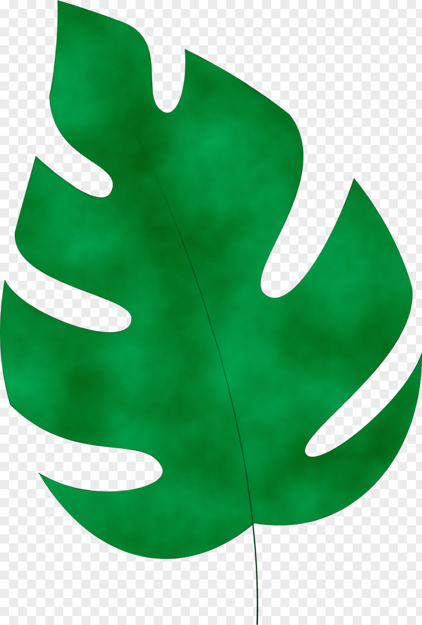 Leaf Green M-tree Tree Science PNG