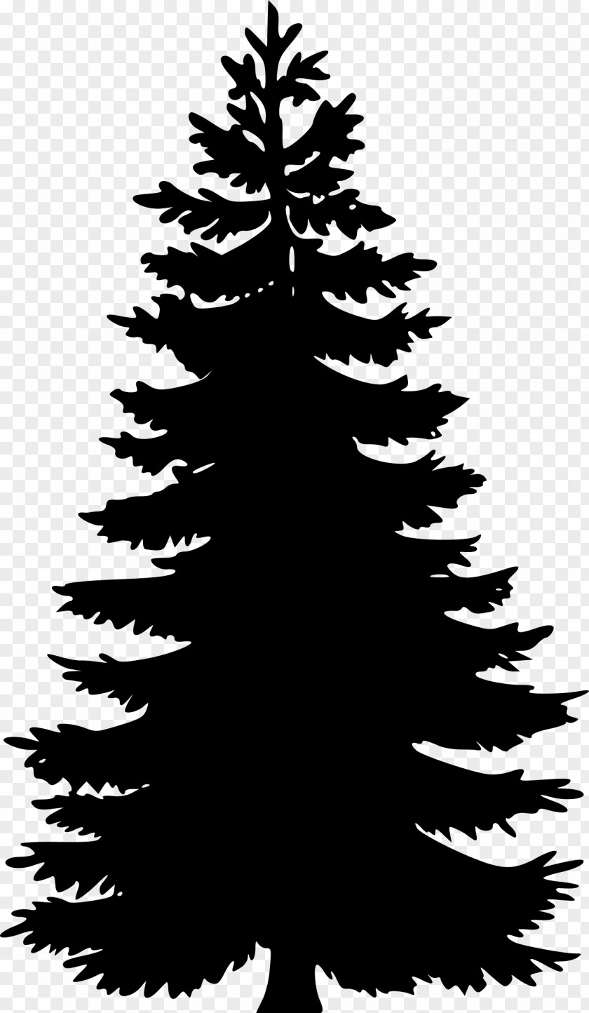 Tree Vector Pine Fir Silhouette Clip Art PNG