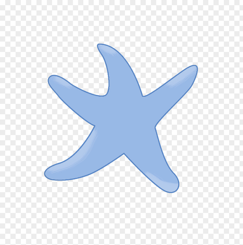 Blue Five-pointed Star Starfish Echinoderm Marine Biology Font PNG
