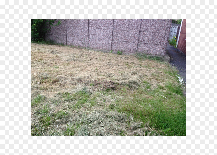 Cutting Grass Real Property Lawn Land Lot Grasses PNG