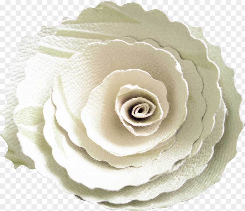 Flower-shaped Biscuits Garden Roses Paper Flower Clip Art PNG