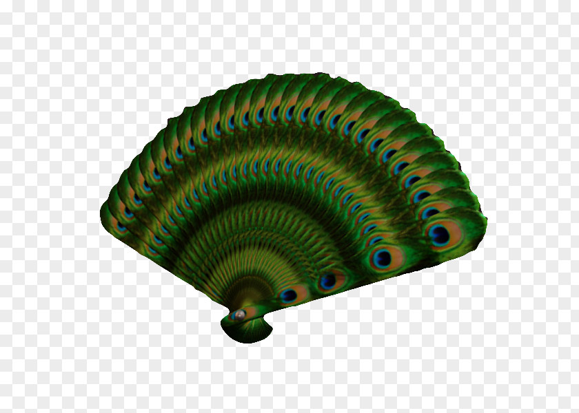 Japanese Green Peacock Fan Japan Hand 3D Modeling Peafowl PNG