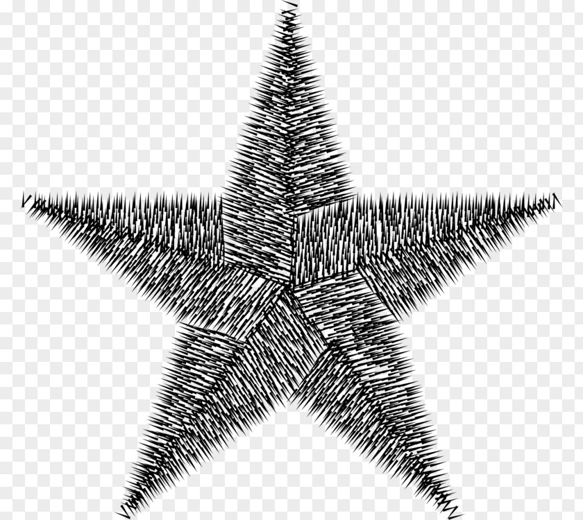 Tree Medal Star Background PNG