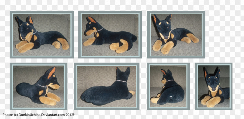Doberman Dog Breed Puppy Pet Canidae PNG