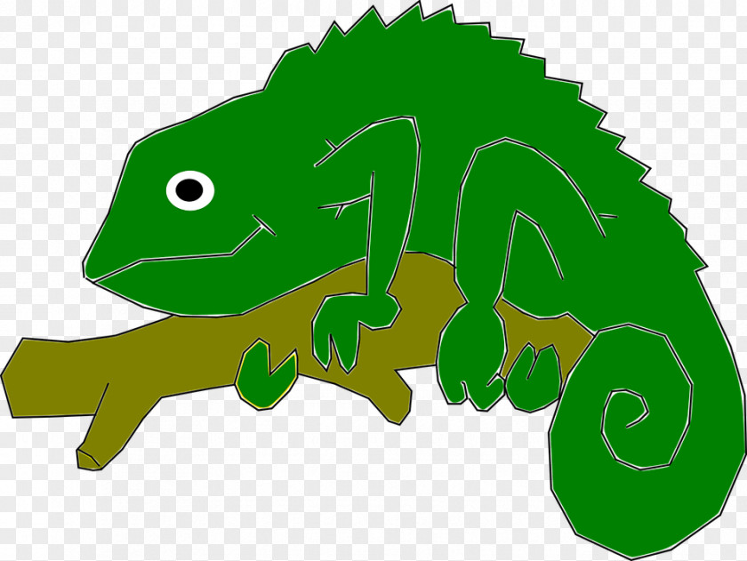 Malagasy Giant Chameleon Panther Common Iguanas Clip Art PNG