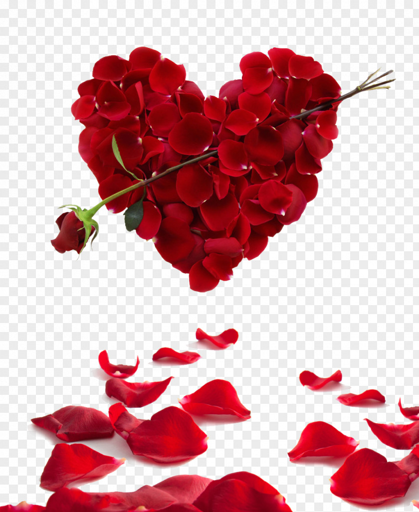 Petal,Heart Rose Heart Flower Valentine's Day Wallpaper PNG